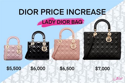 dior 300$ bag|how expensive is dior.